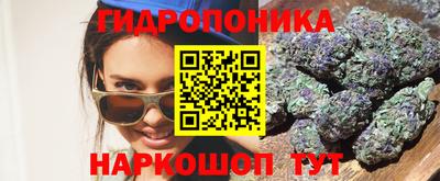 стаф Заводоуковск