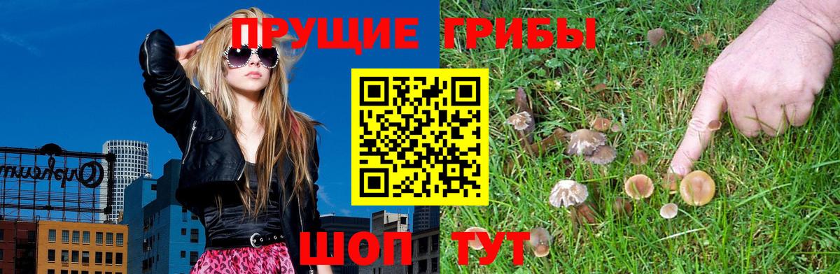 Псилоцибиновые грибы прущие грибы Луховицы
