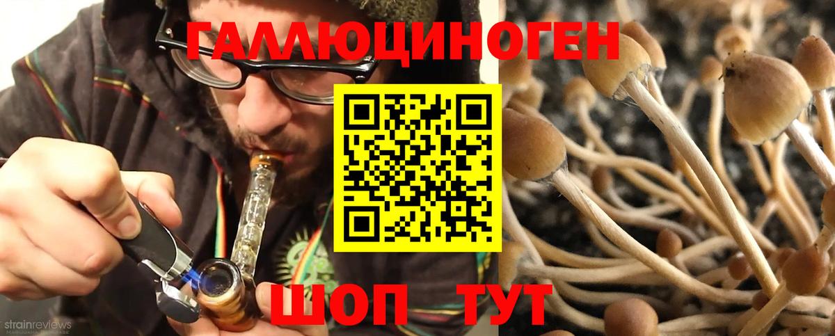 Луховицы  Псилоцибиновые грибы мухоморы  Псилоцибиновые грибы Magic Shrooms  Вход с VPN 
